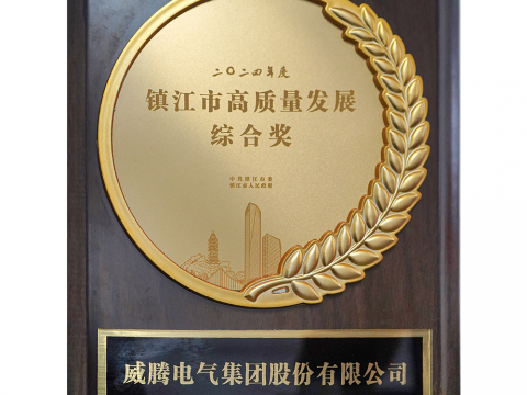 喜讯│欧博abg荣获2024年度镇江市高质量生长综合奖