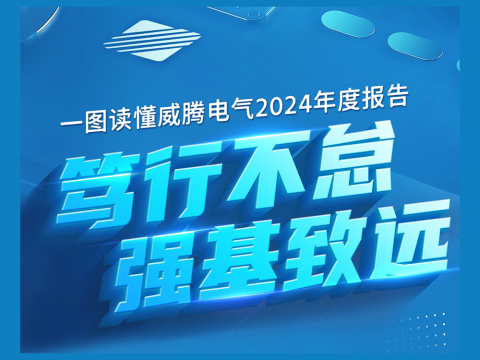 一图读懂欧博abg电气2024年度报告